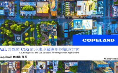A2L 冷媒與 CO2 於冷凍冷藏應用的解決方案